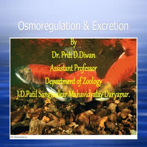 Osmoregulation