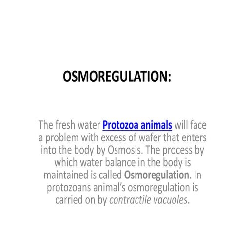 OSMOREGULATION.pptx