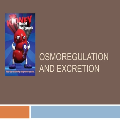 Osmoregulation and-excretion