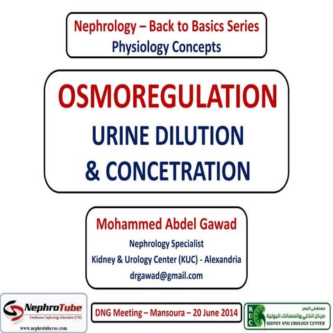 Osmoregulation (Urine Dilution & Concentration) - Dr. Gawad