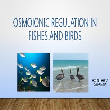 Osmoregulation in Fishes and Birds 