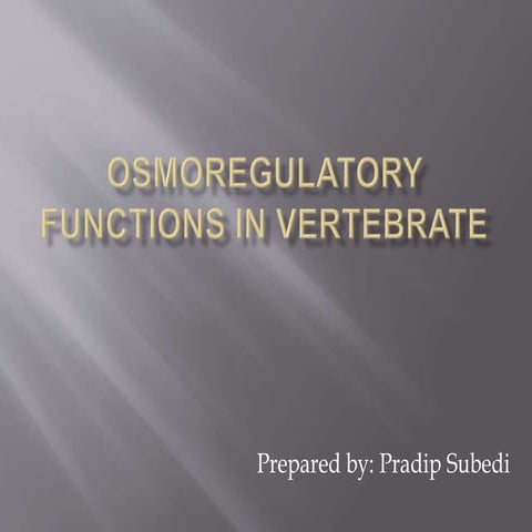 Osmoregulatory functions of vertebrate kidney