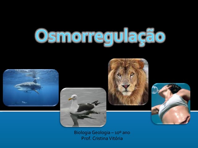 Osmorregulação