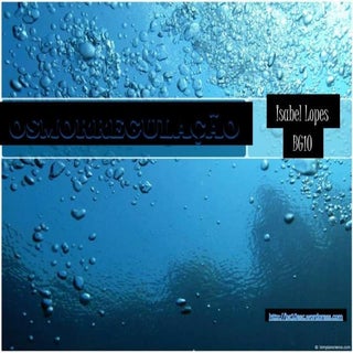 Osmorregulao 110614174608-phpapp01