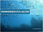 Osmorregulao 110614174608-phpapp01 (5)