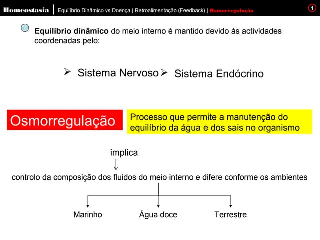 Osmorregulação   regulação hormonal
