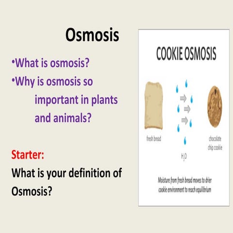 Osmosis 2