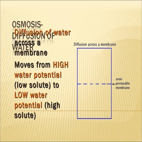 Osmosis 