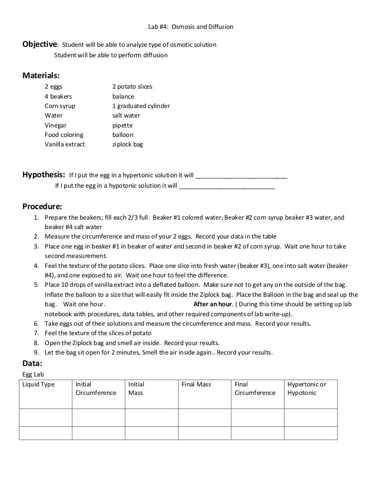 Potato Osmosis Lab Conclusion Osmosis Experiment For Kids Potato Potato Osmosis Lab Conclusion Osmosis Experiment For Kids Potato