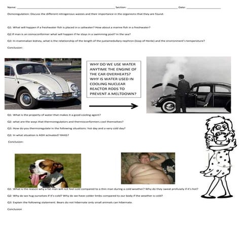 Osmothermoreg activity