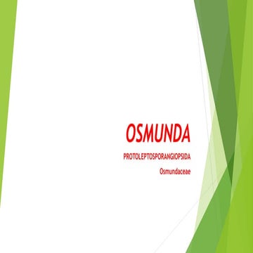 OSMUNDA .............................pptx