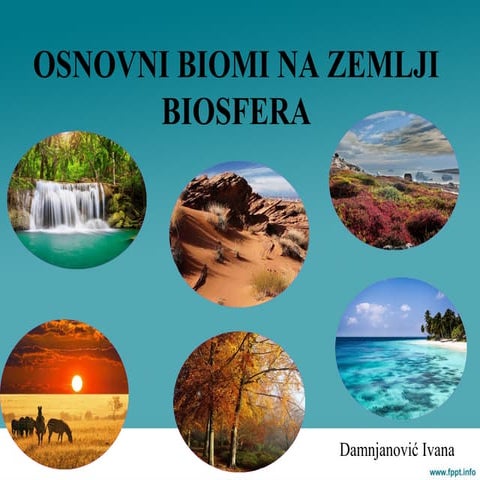 Osnovni biomi na zemlji. Biosfera