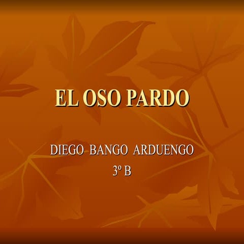 El Oso Pardo