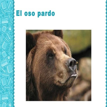Oso pardo