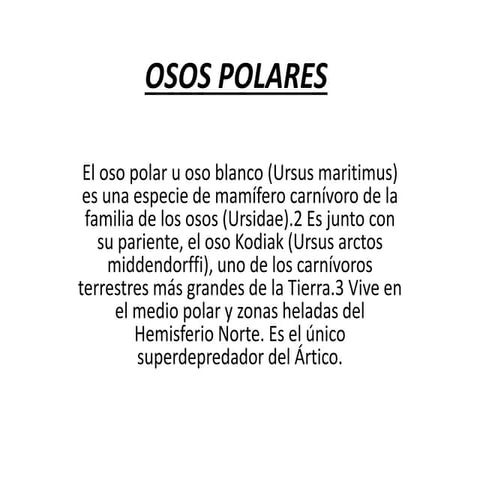 Osos polares