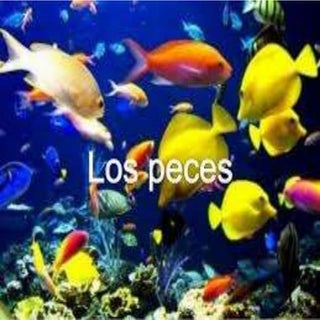 O s peixes [reparado]