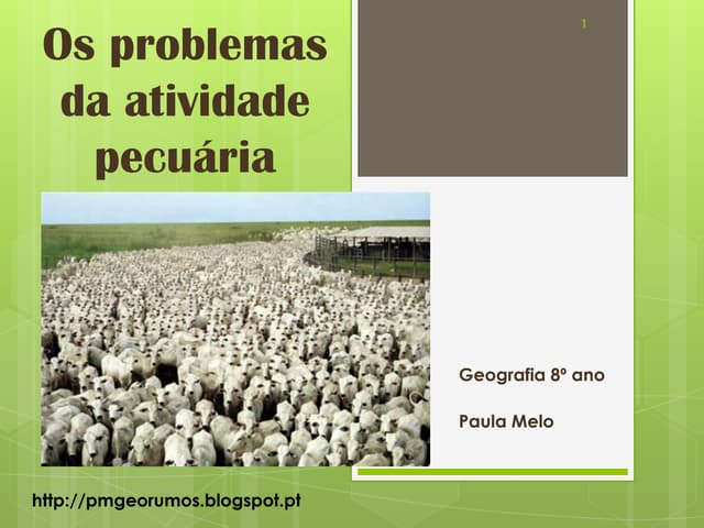 Os problemas da atividade pecuária