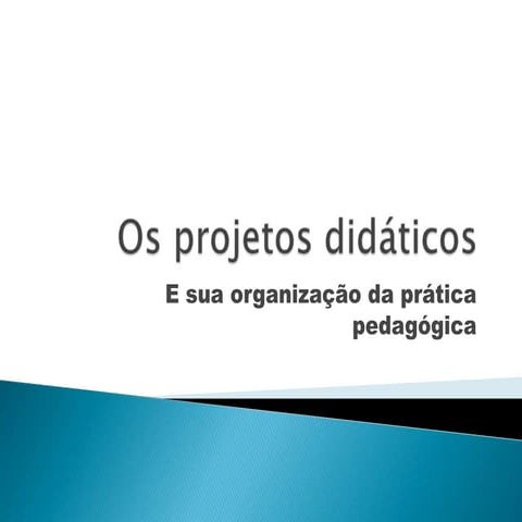 Os projetos didáticos