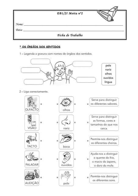 Os órgãos dos sentidos