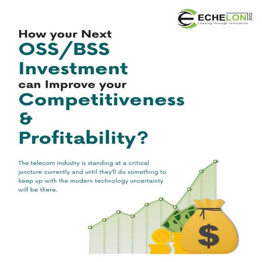 How Your Oss/bss Investment Can Improve Profitability 