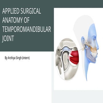 Comprehensive Applied Surgical Anatomy of the Temporomandibular Joint ...