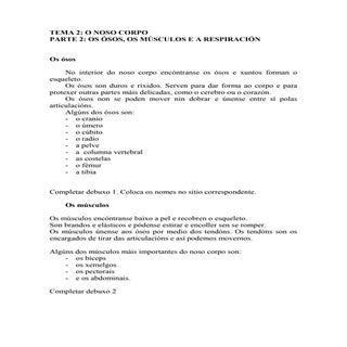 Os ósos os músculos e a respiración