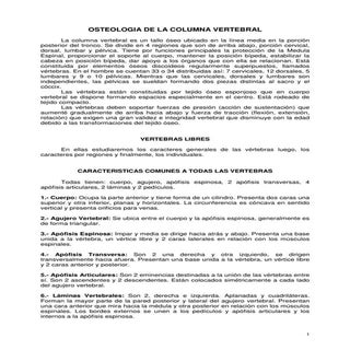 Osteologia de la columna vertebral