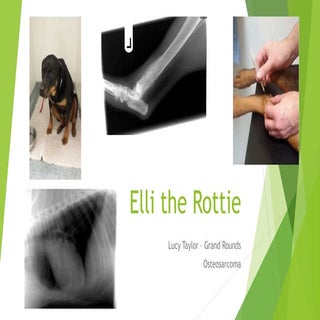 Osteosarcoma presentation