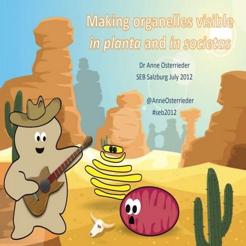Making organelles visible - in planta and in societas