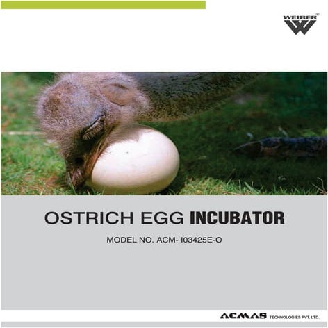 Ostrich egg-incubator | PDF