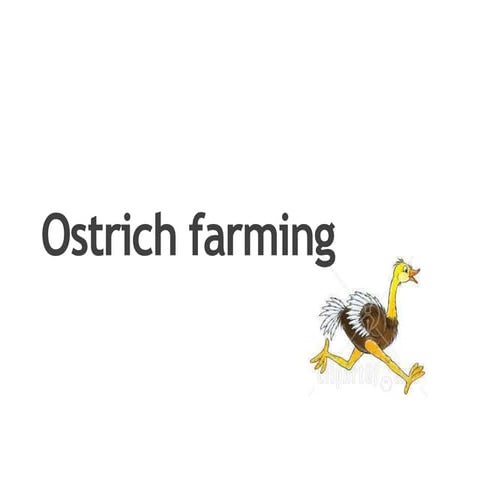 Ostrich farming | PPT
