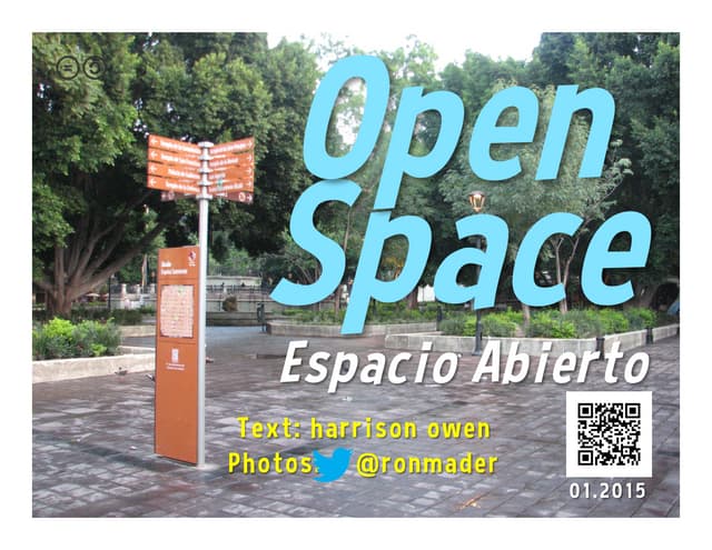 Visualizing Open Space Technology =...