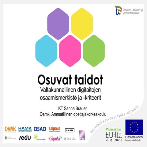 Osuvat taidot - valtakunnallinen osaamismerkistö - ja kriteerit