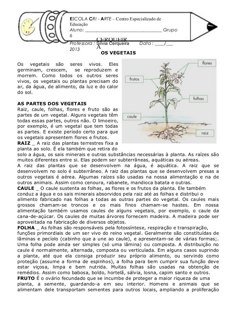Os vegetais texto Os vegetais texto