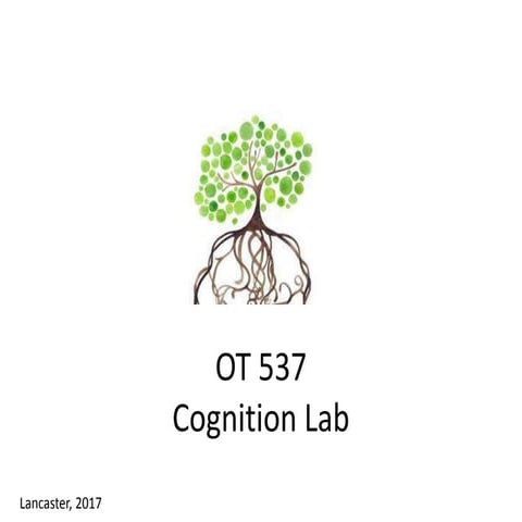OT 537 cognition lab