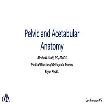 Lower limb anatomy (hip and thigh) | PPT
