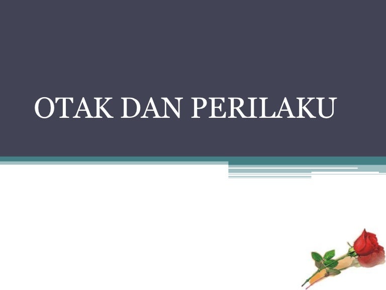 Otak