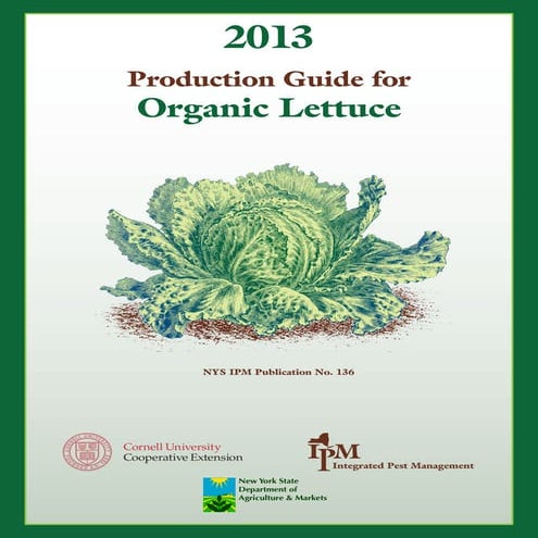 Production Guide for Organic Lettuce | PDF