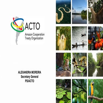 Integrated Water and Environmental Management in the Amazon Region ...
