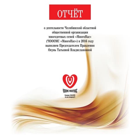 Отчет о деятельности Челябинской областной общественной организации многодетных семей "Много нас" в 2016
