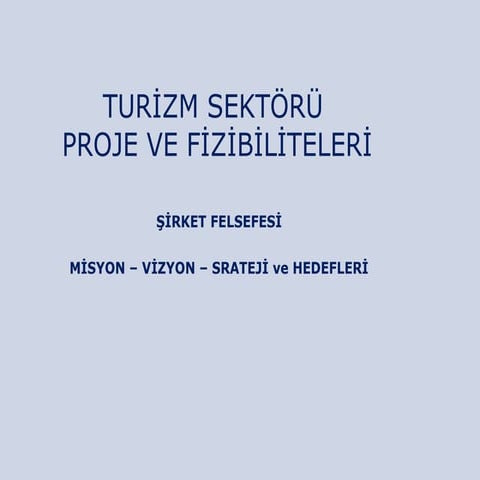 Otel şi̇rket felsefe ve yapilanma