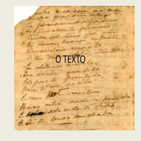O texto
