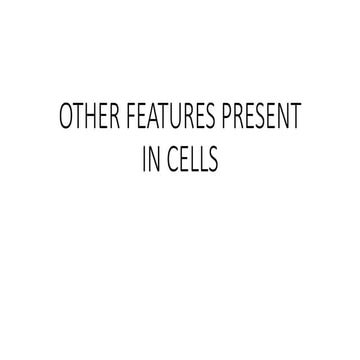 Other features present in cells | PPTX