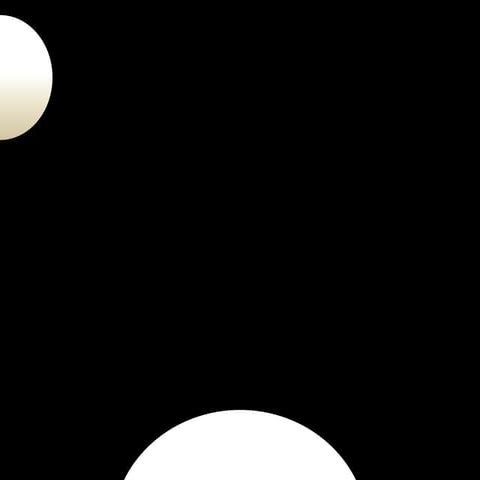 Other process types and other participant function