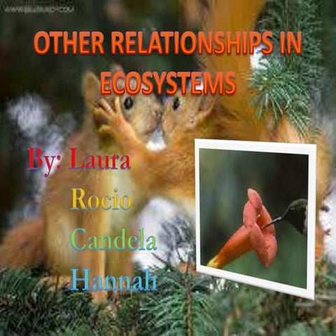 Relationships in an ecosystem: mutualism, comensalism and parasitism.