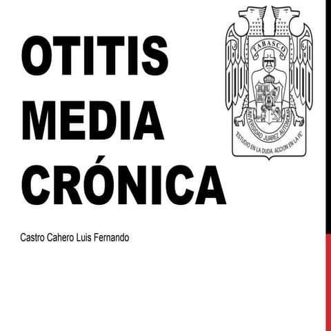 Otitis media crónica