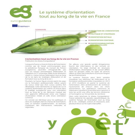 Orientation tout au long de la vie - un guide Euroguidanceen france