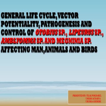OTOBIUS SP., LIPEURUS SP., AMBLYOMMA SP. AND MEGNINIA in animals