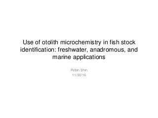 The World's Brightest Flashlight