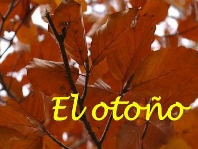 Otoño ppt